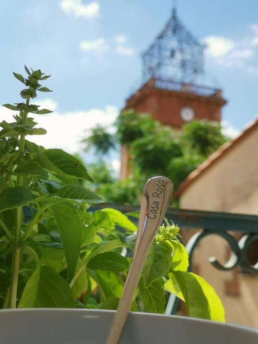 Casa Rosa, Un Petit Cocon Catalan Villa Ortaffa Exteriör bild