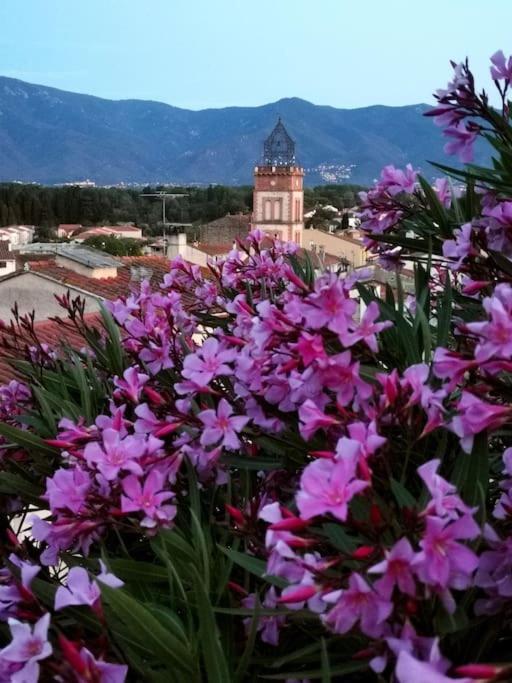 Casa Rosa, Un Petit Cocon Catalan Villa Ortaffa Exteriör bild